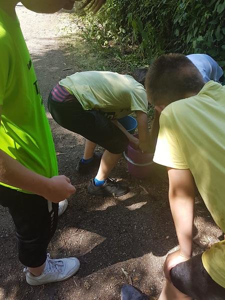 IMG-20190707-WA0241.jpg