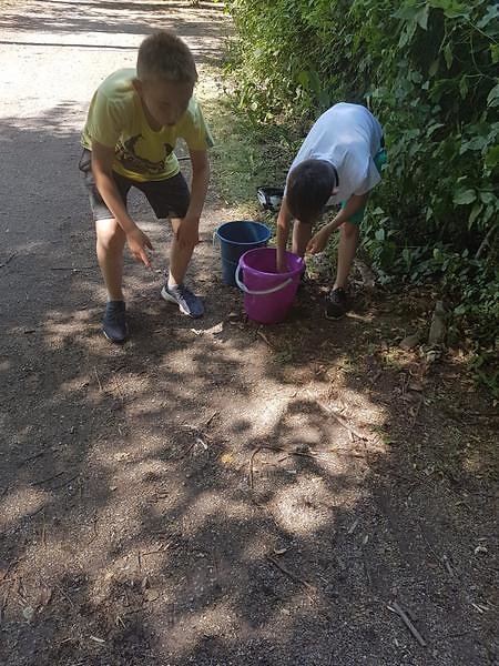 IMG-20190707-WA0242.jpg