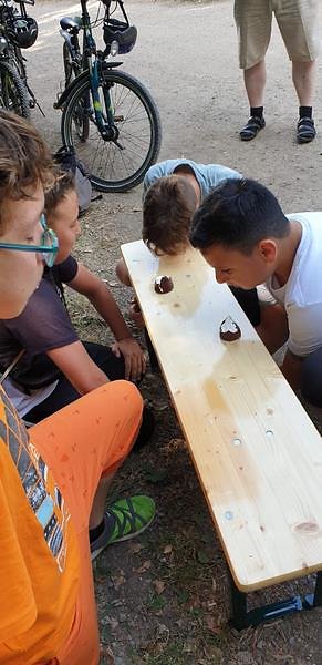 IMG-20190707-WA0246.jpg